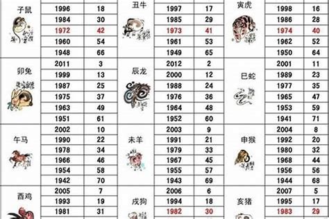 2002五行属什么|2002年五行属什么 2002年出生是什么命